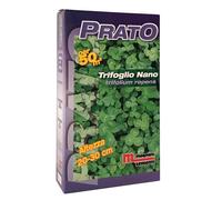 Semi prato Trifoglio nano 500 g