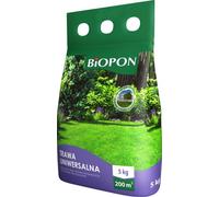Semi Prato Universale 5kg - Sementi Erba per Tappeto Erboso Giardino Ombra Sole