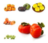 semi resistenti del caqui di prima qualità, resistenti all'ombra, acquistare esotici, 50pcs