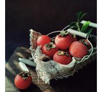 semi resistenti del de caqui, semi di giardino balcone, tetti verdi colonnari resistenti perenni 30pcs