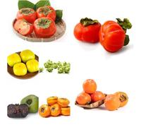 semi resistenti del de caqui varietà di antichi medicinali bonsái Zona 35pcs