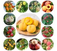 Semi resistenti del pesco - in estremamente, varietà antiche, giardino, esotici 12pcs