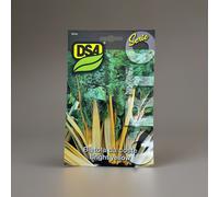 SEMI SEMENTI BIETOLA DA COSTE BRIGHT YELLOW 1KG