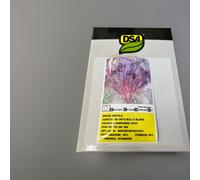 SEMI SEMENTI BIETOLA DA ORTO BULL’S BLOOD 1KG