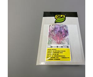 SEMI SEMENTI BIETOLA DA ORTO BULL’S BLOOD 1KG