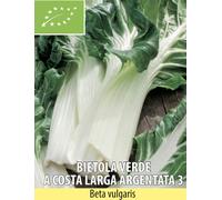 SEMI SEMENTI BIETOLA VERDE A COSTA LARGA ARGENTATA BIOLOGICI BIO 1kg