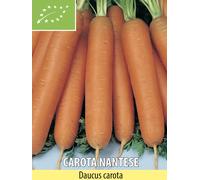 SEMI SEMENTI CAROTA NANTESE BIOLOGICI BIO 500 GRAMMI