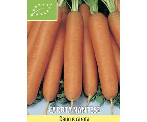 SEMI SEMENTI CAROTA NANTESE BIOLOGICI BIO 500 GRAMMI