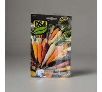 SEMI SEMENTI CAROTA RAINBOW MIX (DI POLIGNANO) 25gr