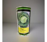 SEMI SEMENTI CAVOLO VERZA VERTUS 2 500gr
