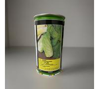 SEMI SEMENTI CICORIA ITALIANA PAN DI ZUCCHERO 500gr
