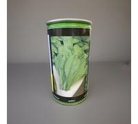 SEMI SEMENTI CICORIA ITALIANA SPADONA 3 kg