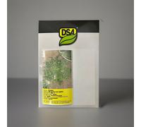 SEMI SEMENTI CICORIA SELVATICA DA CAMPO KG1