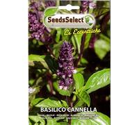 SEMI SEMENTI DI AROMATICHE BASILICO CANNELLA BUSTINA MAXI CIRCA 200 SEMI