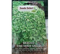 SEMI SEMENTI DI BASILICO FINE VERDE GRECO IN BUSTINA