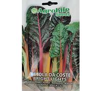 SEMI SEMENTI DI BIETOLA DA COSTE MULTICOLORI BRIGHT LIGHTS IN BUSTINA