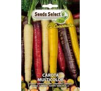 SEMI SEMENTI DI CAROTA MULTICOLOR IN BUSTINA
