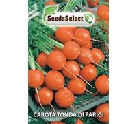 SEMI SEMENTI DI CAROTA TONDA DI PARIGI IN BUSTINA