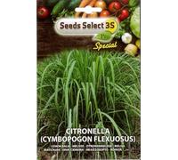 SEMI SEMENTI DI CITRONELLA (CYMBOPOGON FLEXUOSUS) IN BUSTINA