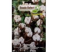 SEMI SEMENTI DI COTONE IN BUSTINA