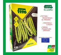 SEMI Sementi di FAVA 1 KG "SEMILLAS FITO" Resistente al freddo Bacello Lungo