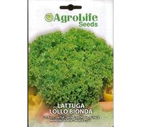 SEMI SEMENTI DI LATTUGA LOLLO BIONDA IN BUSTINA