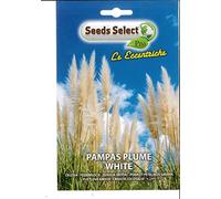 SEMI SEMENTI DI PAMPAS PLUME WHITE IN BUSTINA