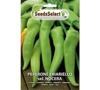 SEMI SEMENTI DI PEPERONE FRIARIELLO SEL NOCERA BUSTNA MAXI