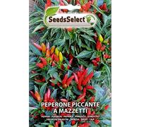 SEMI SEMENTI DI PEPERONE PICCANTE A MAZZETTI BUSTINA MAXI