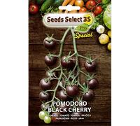 SEMI SEMENTI DI POMODORO BLACK CHERRY IN BUSTINA