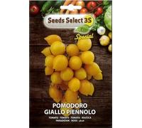 SEMI SEMENTI DI POMODORO GIALLO PIENNOLO