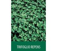 SEMI SEMENTI DI PRATO TRIFOGLIO NANO REPENS 25 KG