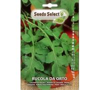SEMI SEMENTI DI RUCOLA DA ORTO IN BUSTINA