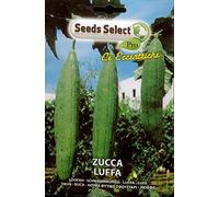 SEMI SEMENTI DI ZUCCA LUFFA IN BUSTINA