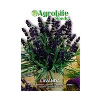 Semi Sementi Lavanda Lavandula Spica Erba Aromatica Seeds