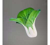 SEMI SEMENTI PACK CHOI BIANCO 500gr