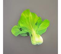 SEMI SEMENTI PACK CHOI VERDE 500gr