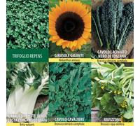 SEMI SEMENTI PER ELICICOLTURA KIT ELICICOLTURA