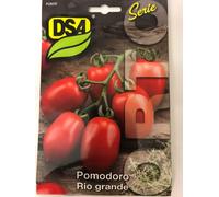 SEMI SEMENTI POMODORO RIO GRANDE 50 gr