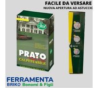 Semi sementi prato rapido miscuglio soleggiato 10Kg resistente al sole OLTER
