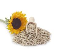Semi Sgusciati Di Girasole 100 G