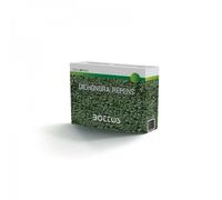 SEMI TAPPETO ERBOSO PRATO DICHONDRA REPENS BOTTOS DICONDRA CONFEZIONE DA 1 KG