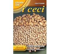 Semi Varietà Cece Principe 100 Grammi Sementi Legumi Precoce