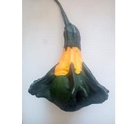 SEMI ZUCCA ORNAMENTALE-VARIETA' AUTUMN WINGS-