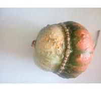 SEMI ZUCCHE ORNAMENTALI-ZUCCA MINI TURBANTE