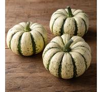 Semi Zucchetta Small Sweet Dumpling - 10 Zucca Ornamentale e Commestibile | Varietà Dolce a Piccoli Frutti Striati | Semi da Orto per Giardino, Vaso e Cucina Autunnale