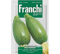 SEMI ZUCCHINO BOLOGNESE DOPPIA BUSTA FRANCHI SEMENTI
