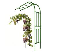 Semiarco per Piante Rampicanti, 120 220 200 180 150 240 270 cm Arco Giardino per Rose e Glicine, Traliccio in Acciaio Resistente alle Intemperie, Supporto a Parete per Esterno(Verde,W300xH240cm)