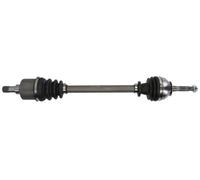 Semiasse Assale anteriore bilaterale G2R009PC PASCAL per RENAULT 4 5 6 RODEO 6