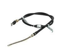 NTY Semiasse Anteriore Destro per Volvo XC70 Cross Country V70 II 2.4 D5 AWD